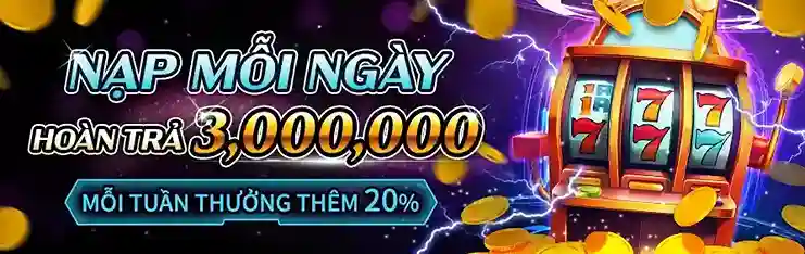 Việt Lý Do Người Chơi Tin Tưởng